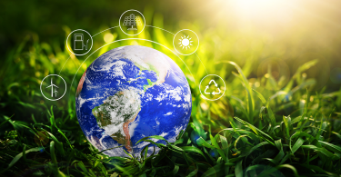 Environmental impact assessment study