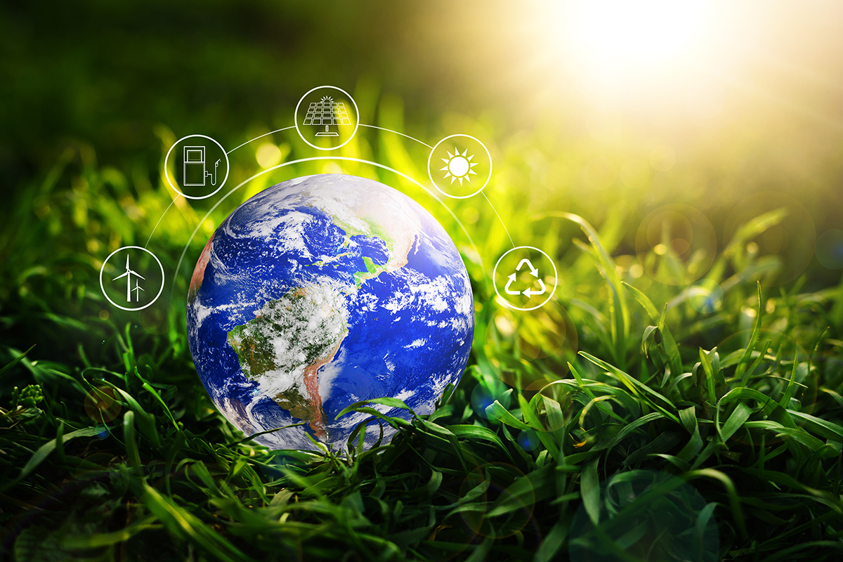 Environmental impact assessment study