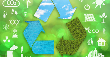 Environmental Impact Assessment Training