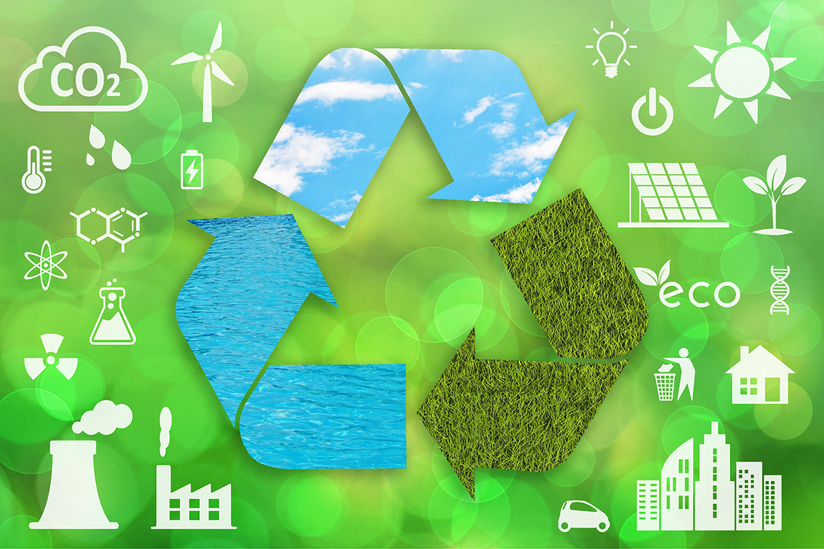 Environmental Impact Assessment Training