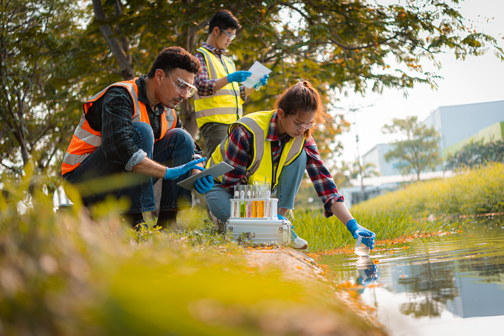 View of Environmental Impact Assessment Stages Explained: What to Know & Expect ...