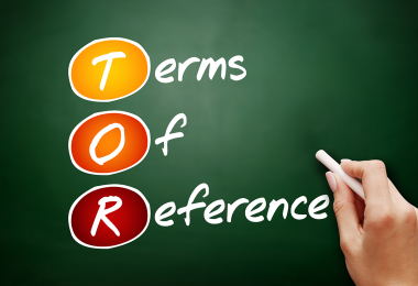 Project Terms of Reference Example